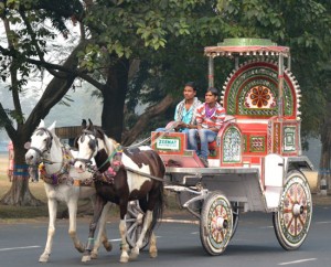 Victorian Carriages in Mumbai must be banned. Do you agree?